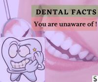 Standard Dental LLC image 53